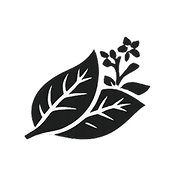 AUTHENTIC TOBACCO TASTE NOTES